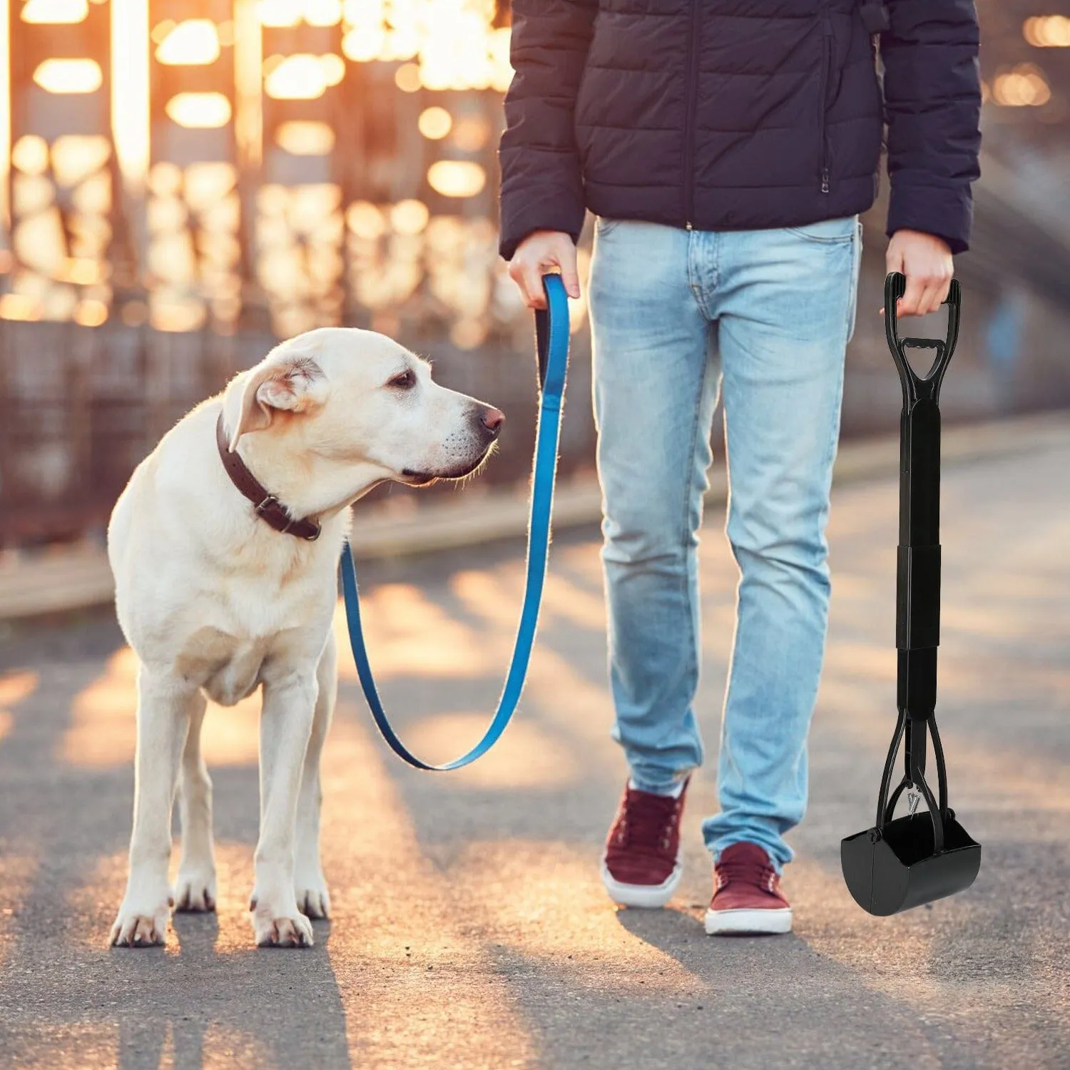 31.5-Inch Pet Pooper Scooper