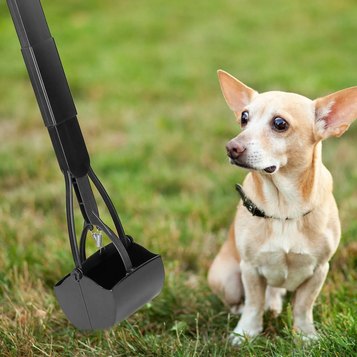 31.5-Inch Pet Pooper Scooper