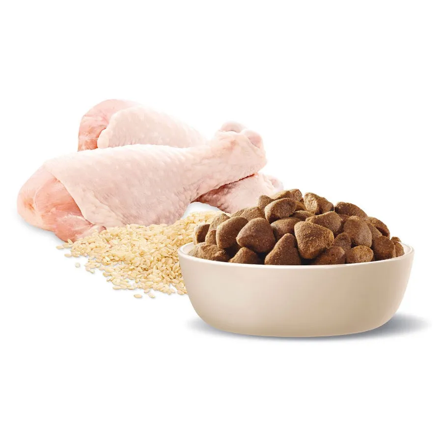 Advance Dog Large Breed Chicken And Rice