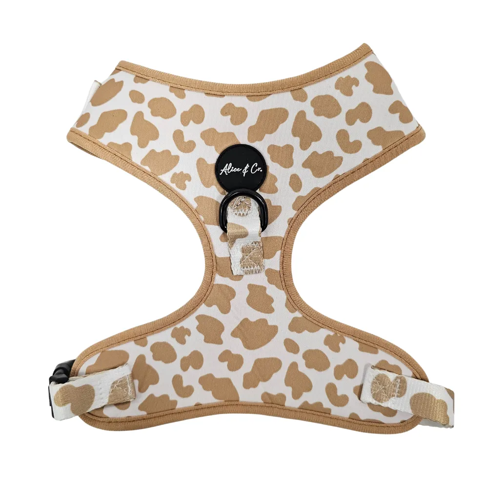Alice & Co - Harness - On The Moove