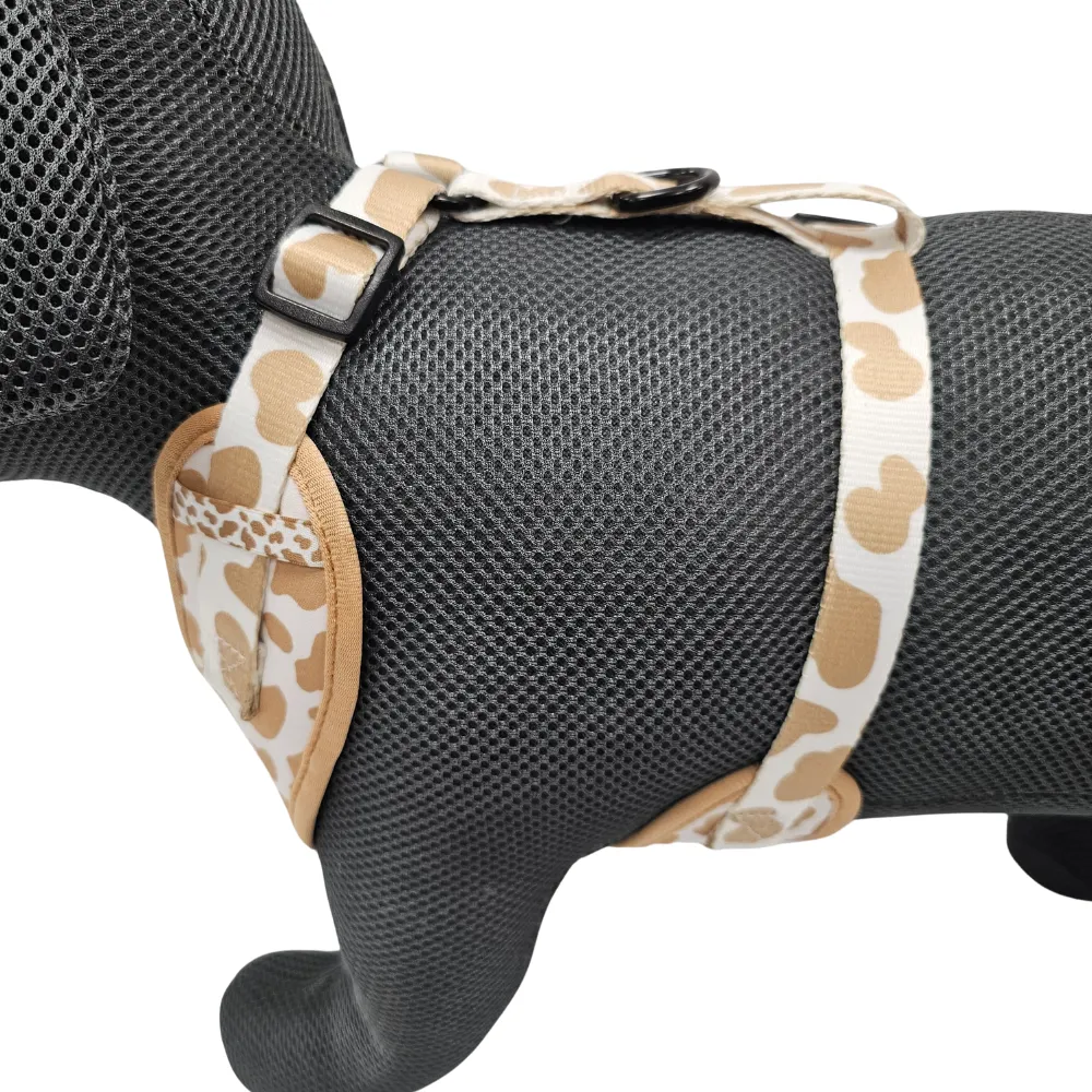 Alice & Co - Harness - On The Moove