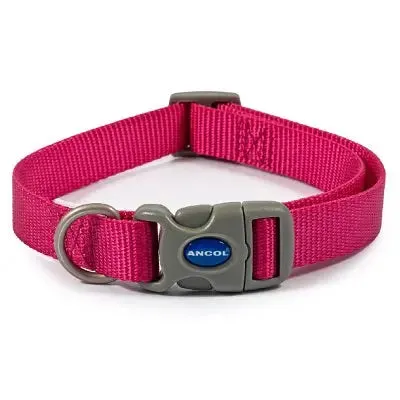 Ancol Raspberry Adjustable Nylon Dog Collar - Various Sizes