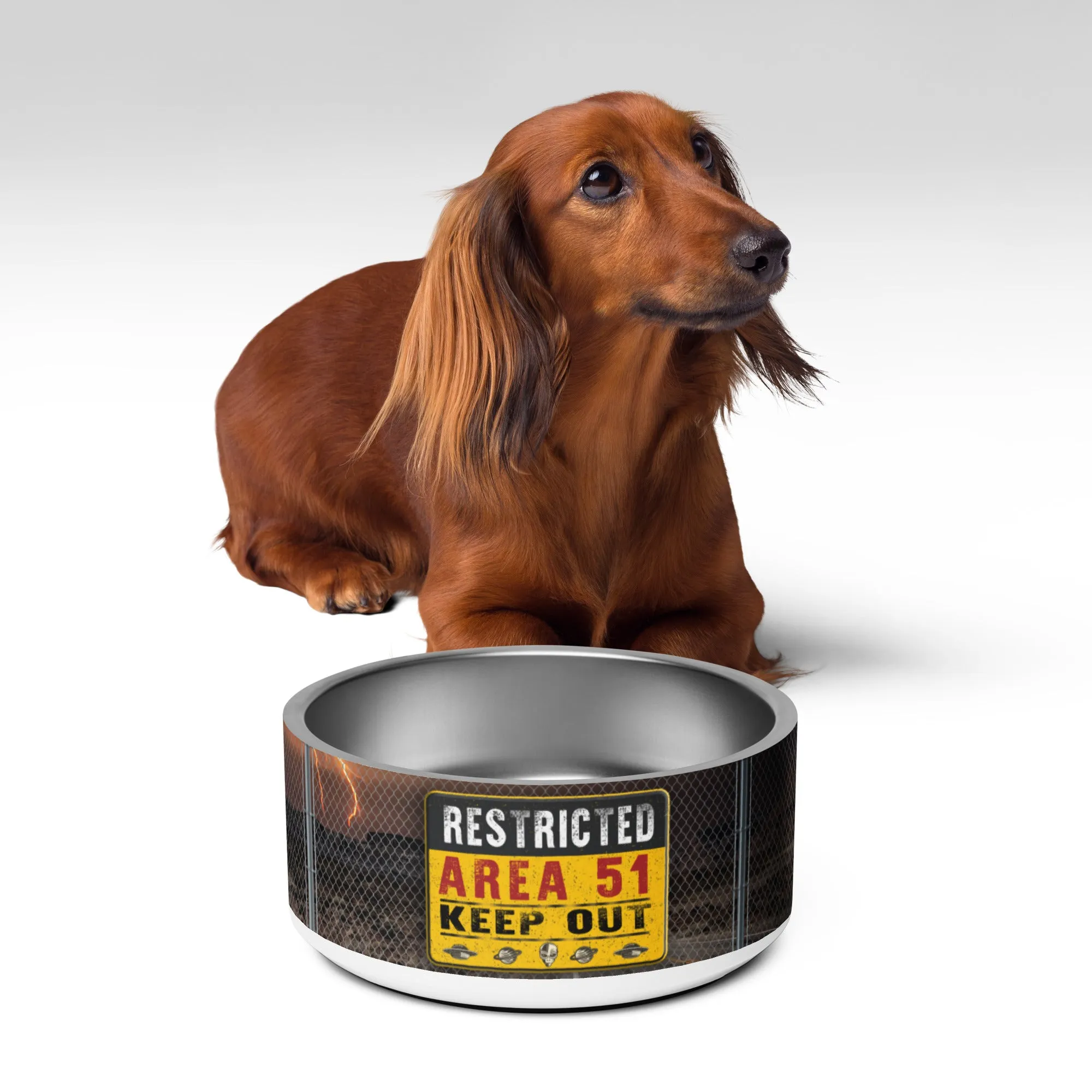 Area51 Restricted | Pet bowl