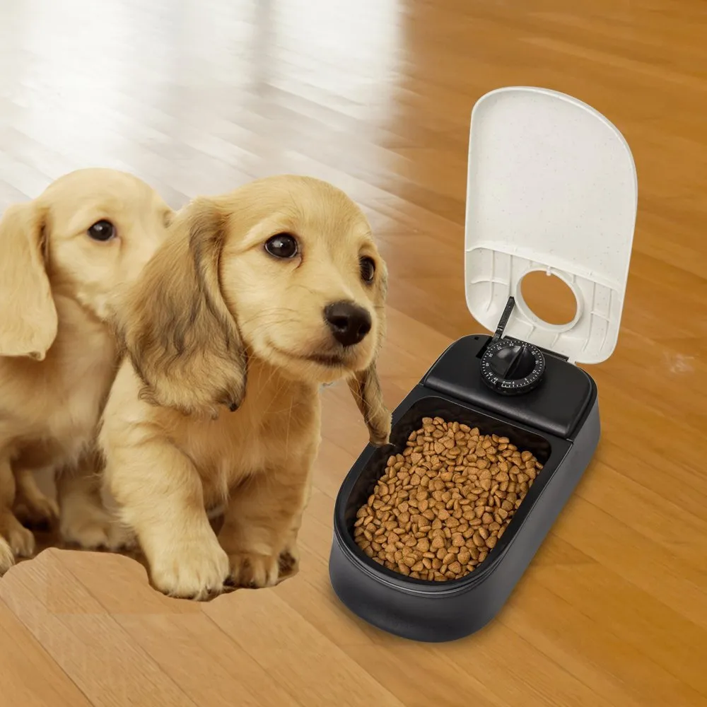 Automatic Pet Feeder with Ice Pack