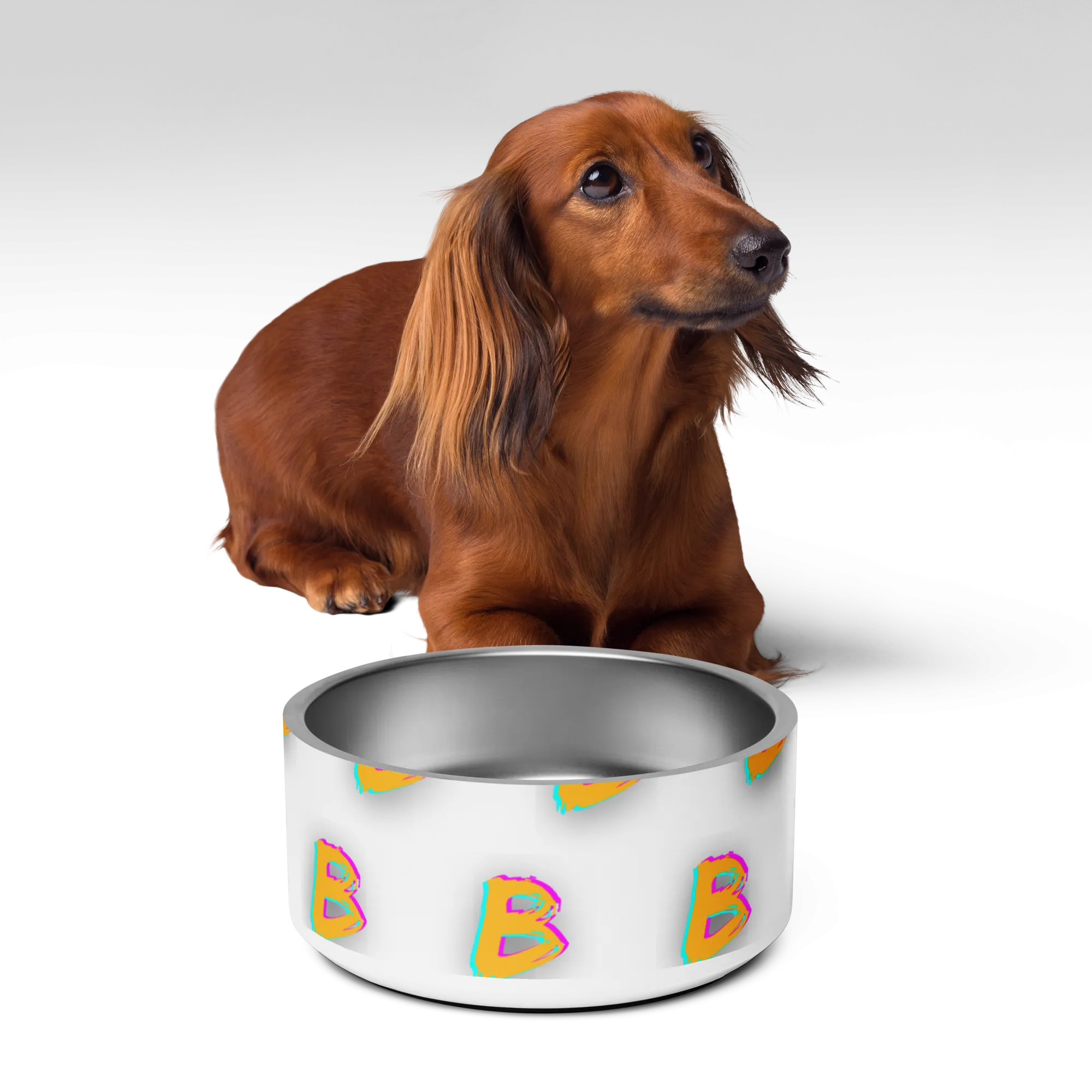 BBBBBBB Pet bowl
