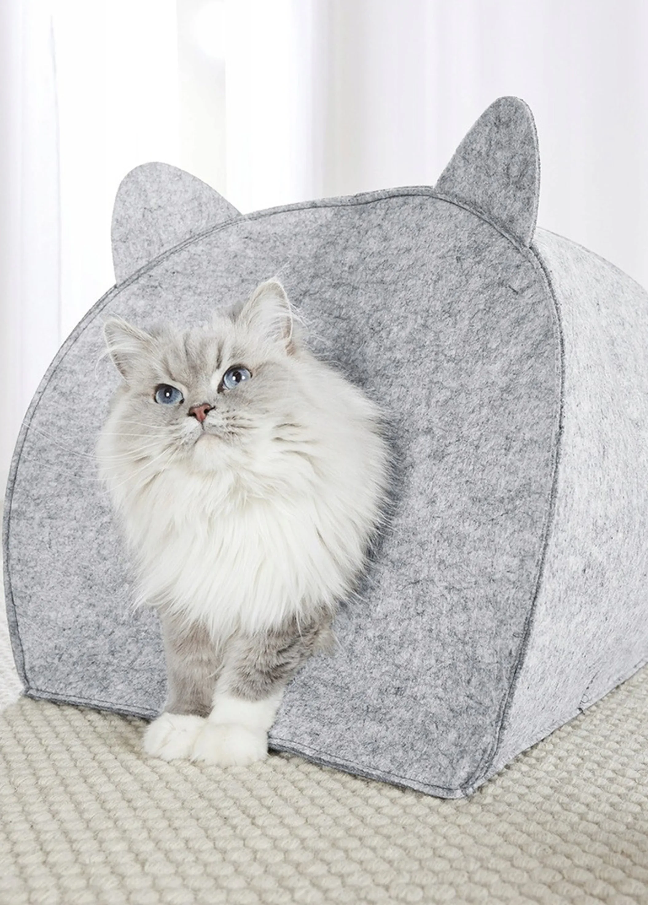 Cat House