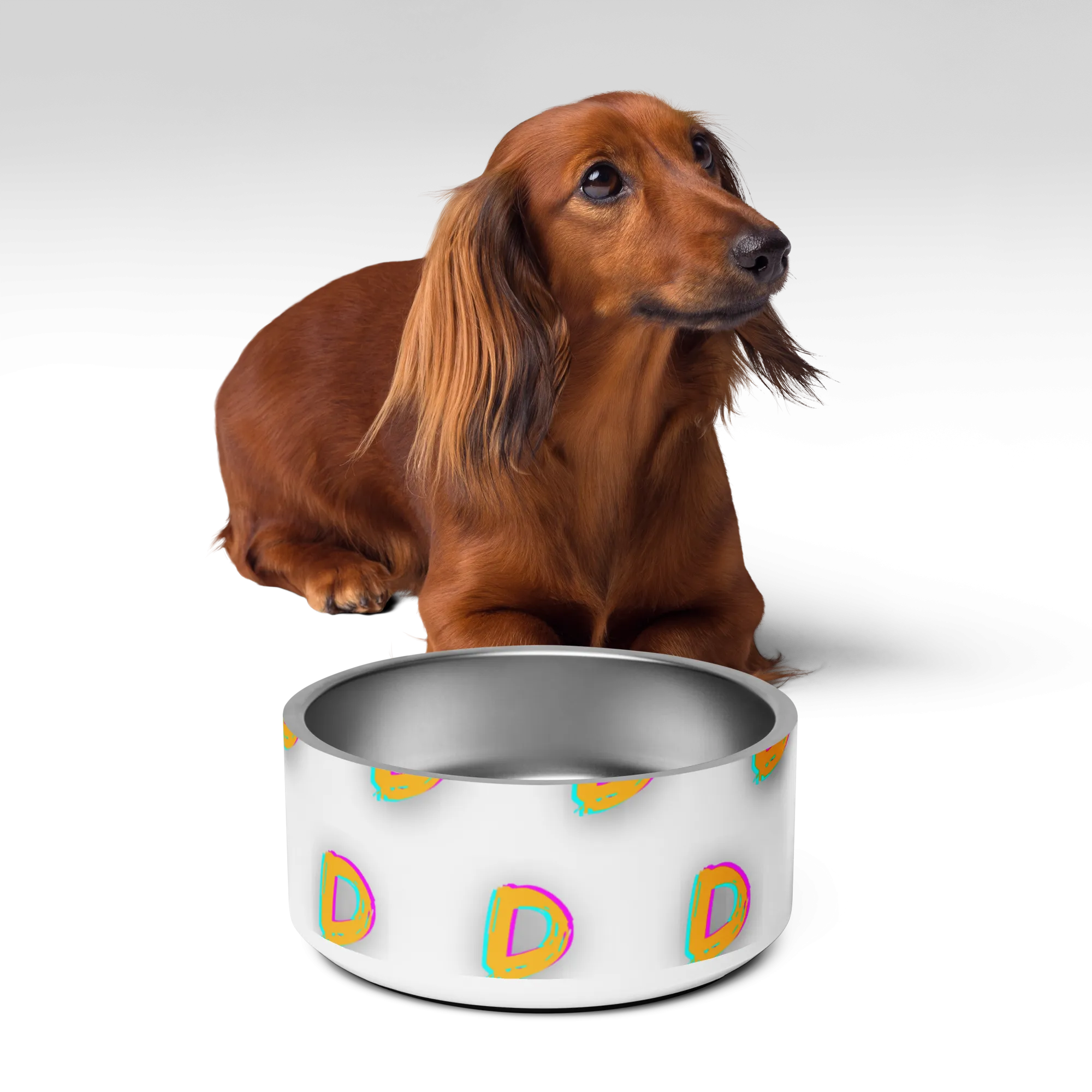 DDDDDDD Pet bowl