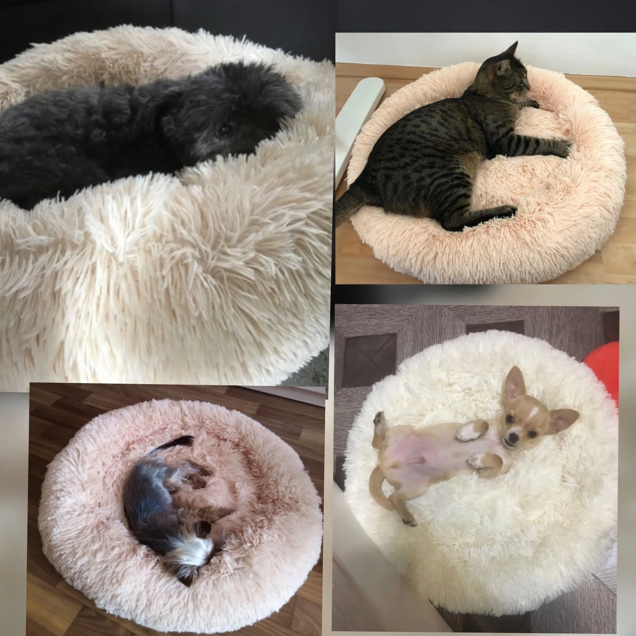 Dog & Cat Super Soft Long Plush Bed