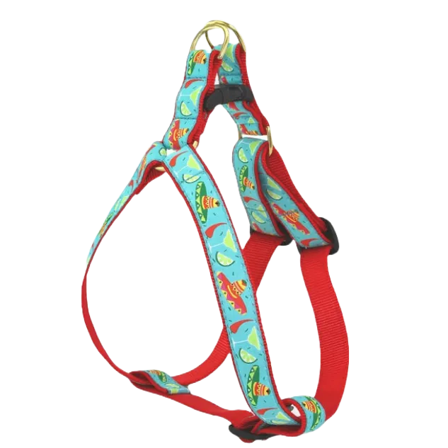 Harness | Cinco de Mayo