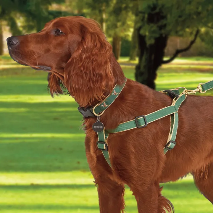 Harness | Forest & Tan