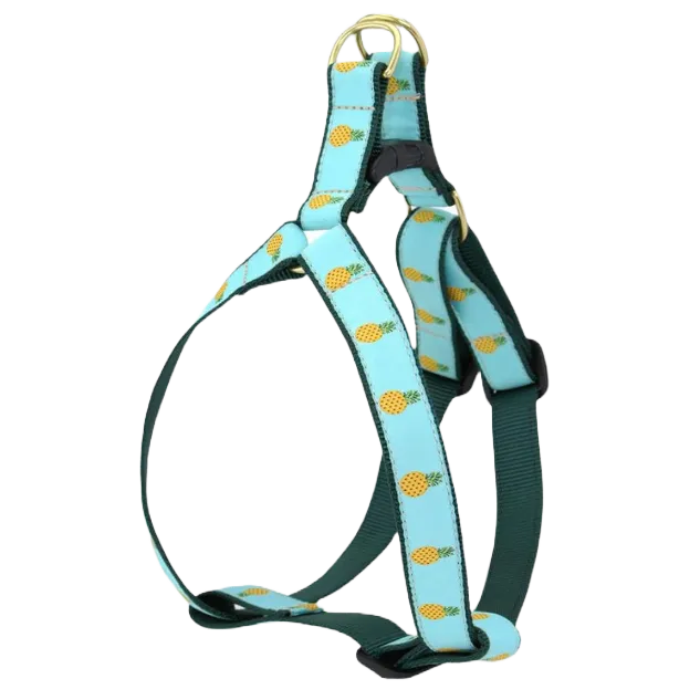 Harness | Pineapple