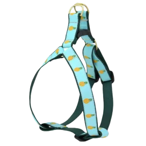 Harness | Pineapple