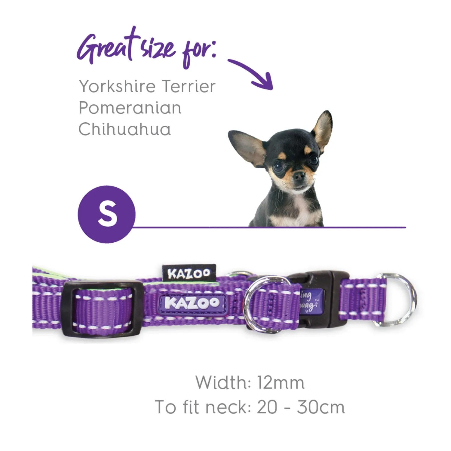 Kazoo Active Easy-Clip Adjustable Dog Collar Purple & Lime