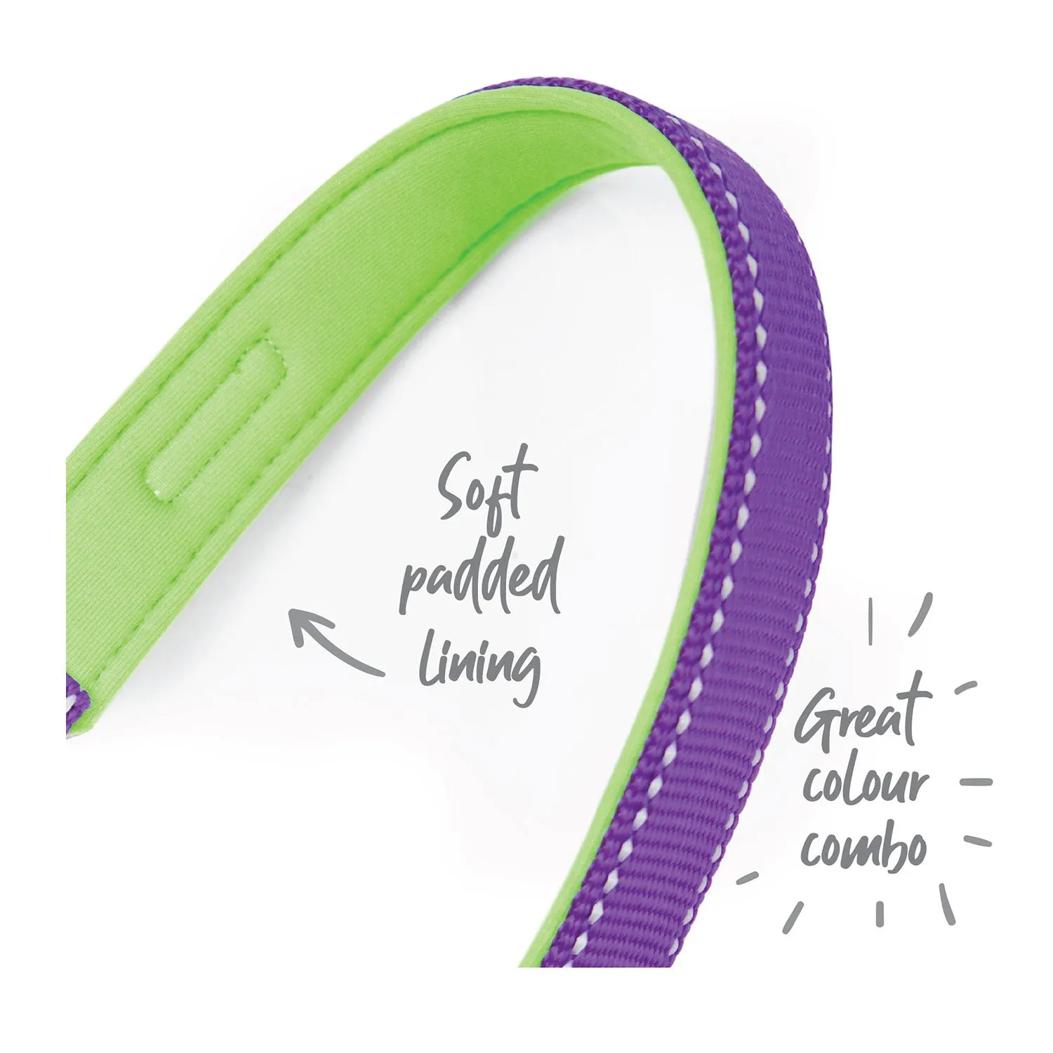 Kazoo Active Easy-Clip Adjustable Dog Collar Purple & Lime