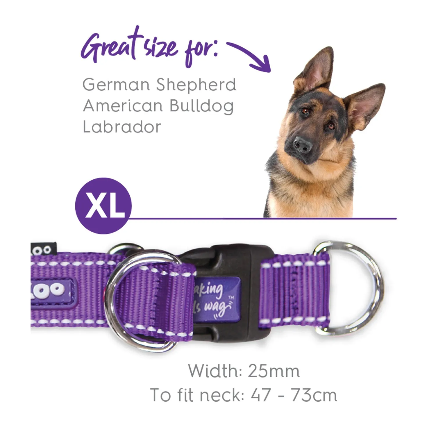 Kazoo Active Easy-Clip Adjustable Dog Collar Purple & Lime