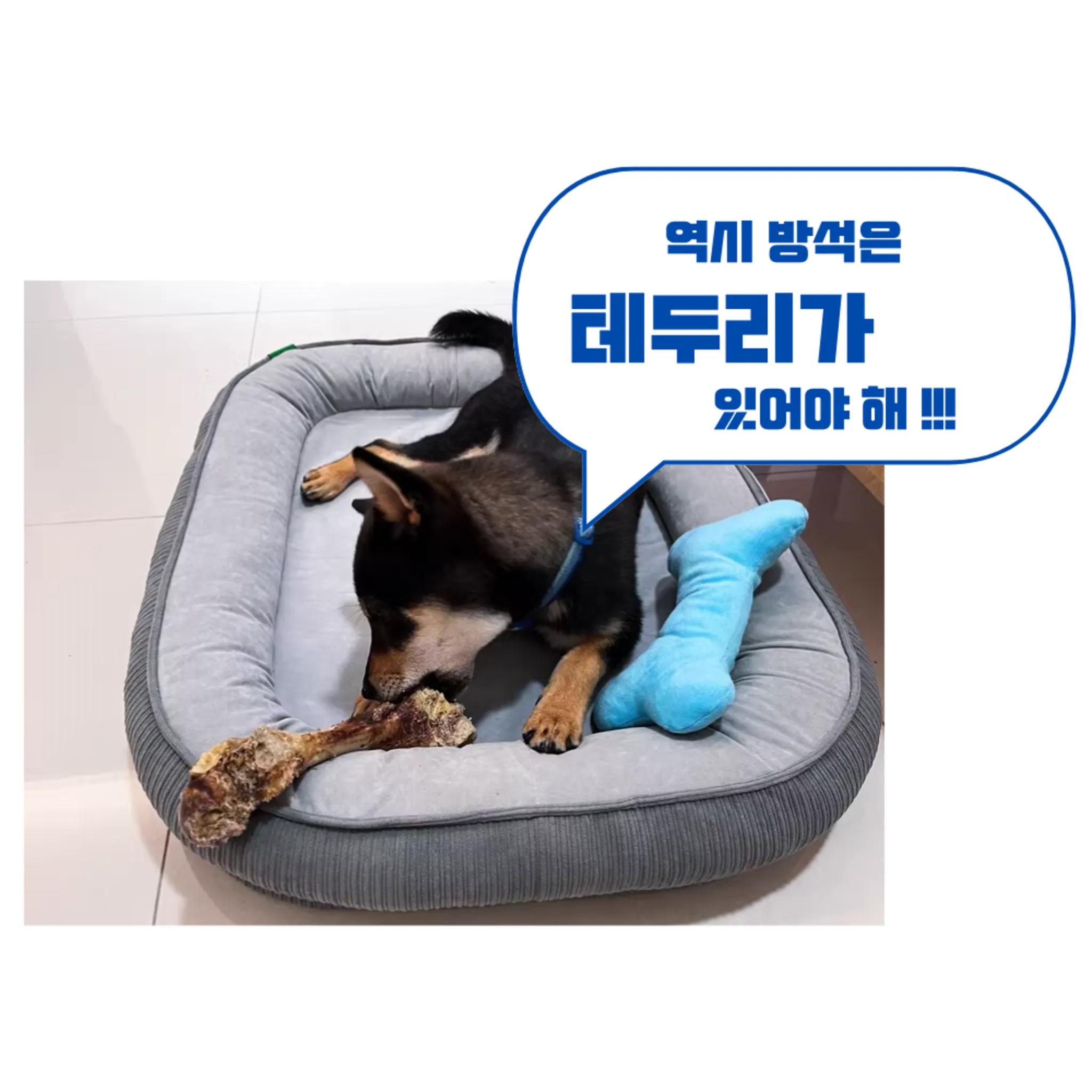 Non-Slip Pet Sleep Cushion, M (50cm x 40cm), Gray, 1 Piece - Bed/Sofa - 🏆 #33 - Pet Supplies - Best of December