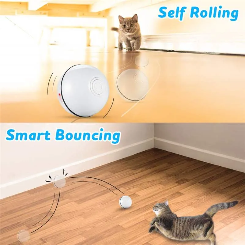 Pat and Pet Emporium | Pet Toys | Smart Toy Interactive Pet Ball