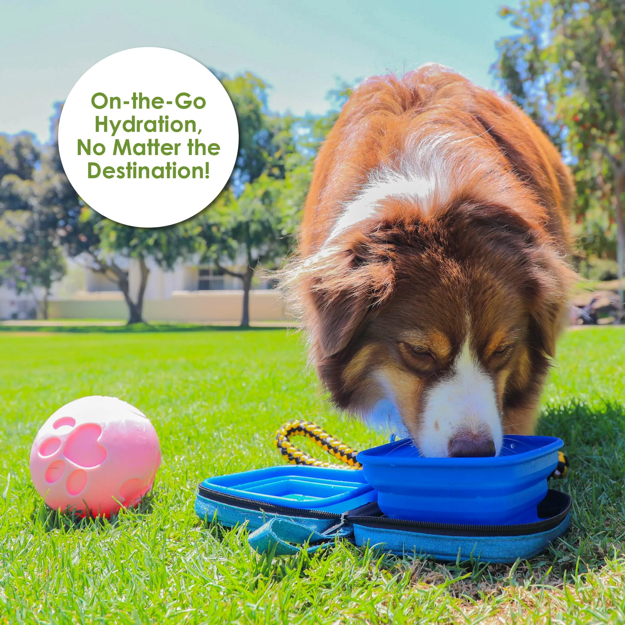 Portabowl Water & Food Bowl: FDA Tested, Non-Toxic, Dishwasher Safe, Detachable, Collapsible, Zipper Carrying Case, Wrist Handle, Clip, 26 OZ FULL Capacity, 24 OZ Second Level, 13 OZ First Level