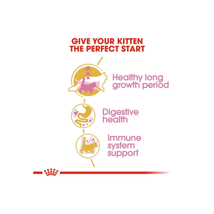 Royal Canin Maine Coon Kitten Cat Dry Food