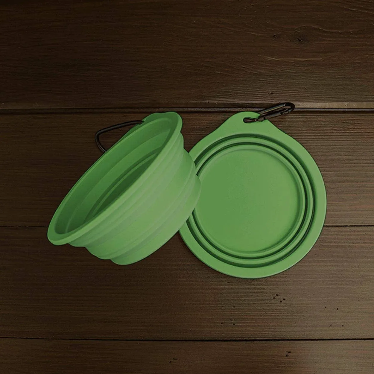 Silicone Travel Bowl