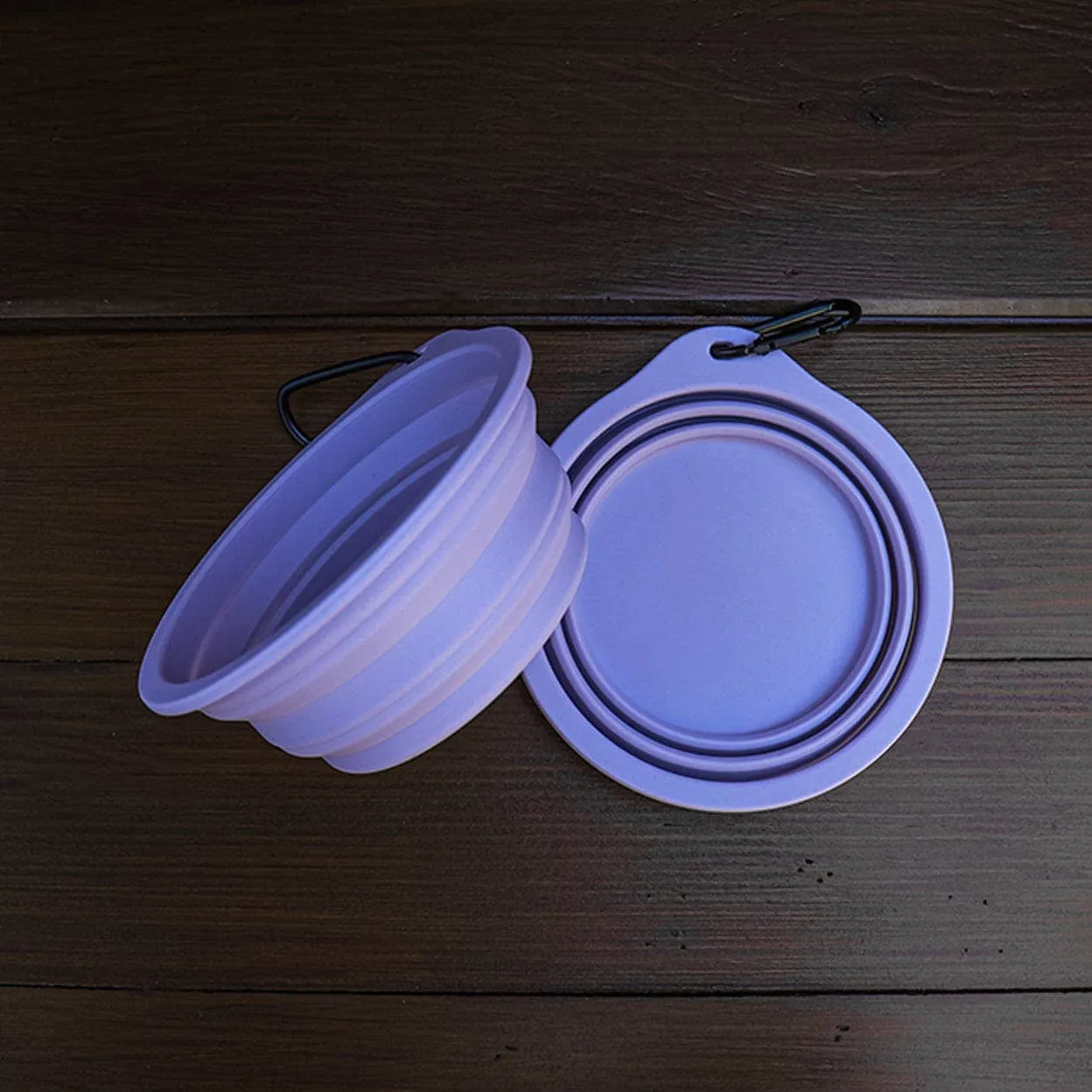 Silicone Travel Bowl