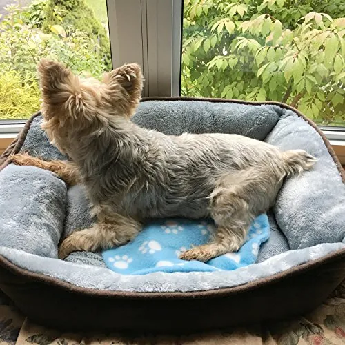 Soft Cooling and Microwave Heating Non-Toxic Gel Pad - Cat/Dog